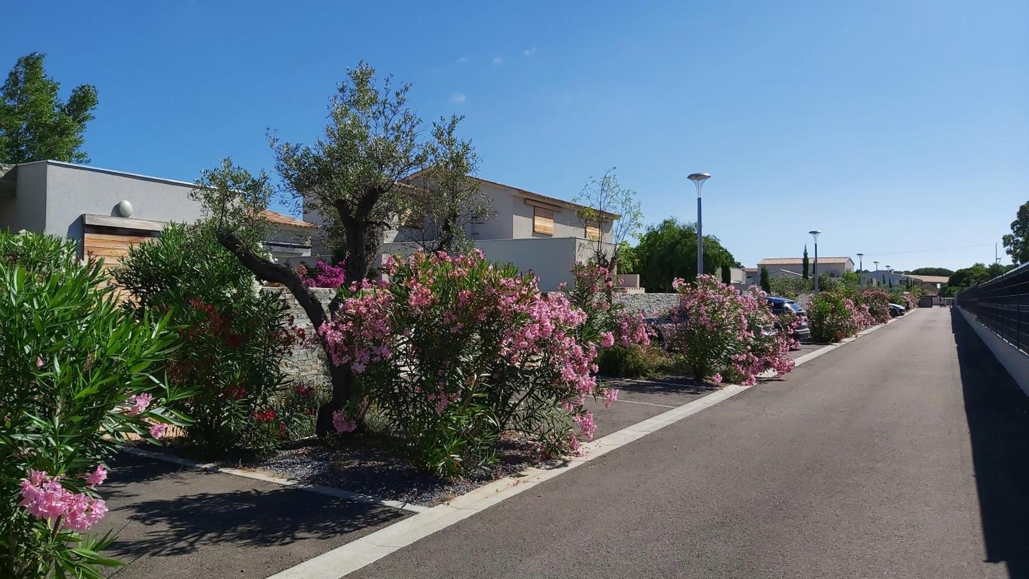 Villa Home Holiday A Cala Rossa Lecci Exterior foto
